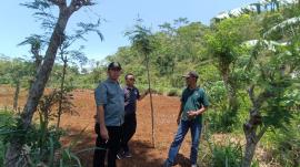 Lurah Tepus Sambang ke Ladang Bendo, Pastikan Pelungguh Dimanfaatkan Dengan Baik